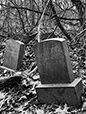 At Rest 22